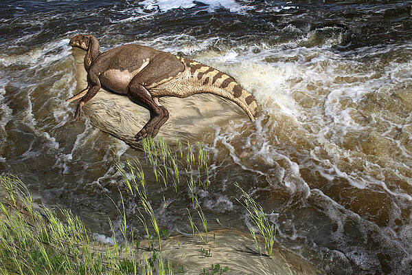 Deinosuchus Beach Towel by Julius Csotonyi - Pixels Merch