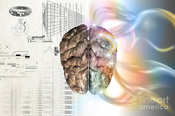 Wall Art - Photograph - Brain With Charts And Plans by Mike Agliolo