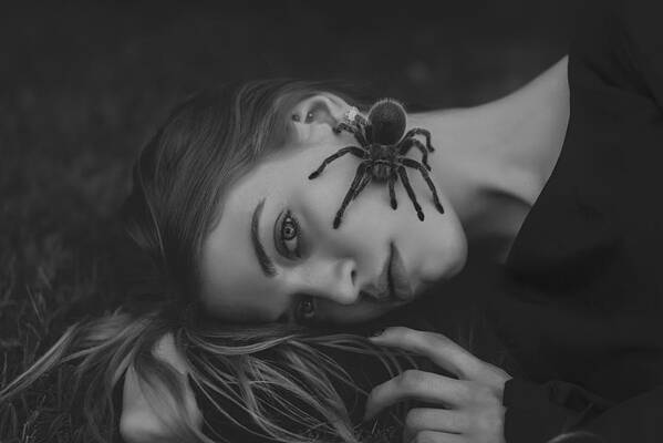Bree and Tarantula by Jessy Vargas