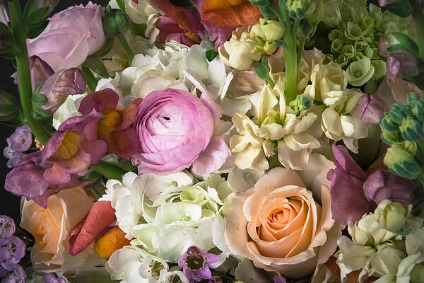 Bridal Boquet 3 by Courtney Wilson