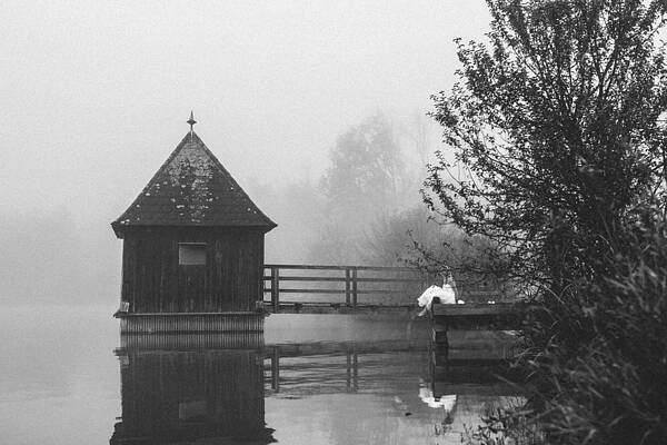 bride in foggy landscape sitting on a jetty at a lake by Leander Nardin bride in foggy landscape sitting on a jetty at a lake by Leander Nardin