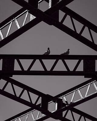 Wall Art - Photograph - Bridge Abstract by Bob Orsillo
