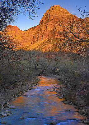 Wall Art - Photograph - Bridge Mt And The Virgin River Zion Np by Tim Fitzharris