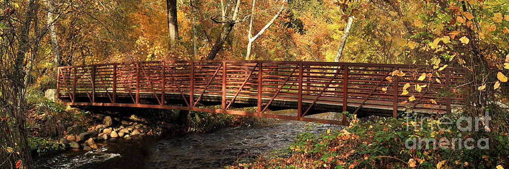 Bridge On Big Chico Creek by James Eddy Bridge On Big Chico Creek by James Eddy