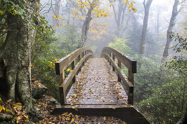Bridge to Rough Ridge 07 by Jim Dollar Bridge to Rough Ridge 07 by Jim Dollar