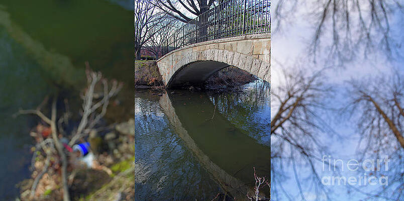 Bridge Triptych by Danielle Lebenson