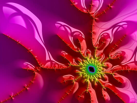 Wall Art - Digital Art - Bright and colorful digital abstract fractal artwork purple and red by Matthias Hauser