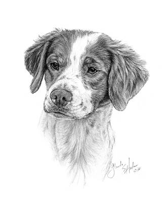 Labrador Dog Drawing. - Bobbys Hand Drawn Portraits.