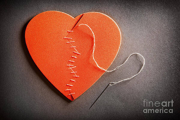 Wall Art - Photograph - Broken Heart On The Mend by Sharon Dominick