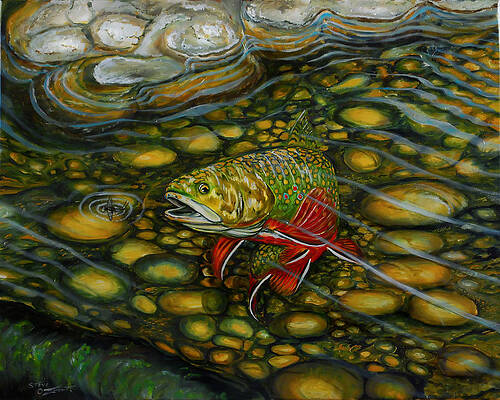 Brook Trout by Steve Ozment Brook Trout by Steve Ozment