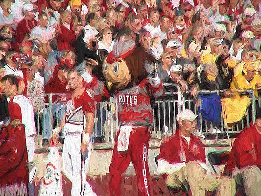 All Hail Brutus Buckeye by Ike Krieger All Hail Brutus Buckeye by Ike Krieger