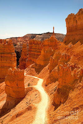 Wall Art - Photograph - Bryce Canyon trail by Jane Rix