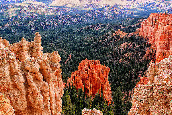 Bryce Canyon National Park by Tom Prendergast Bryce Canyon National Park by Tom Prendergast
