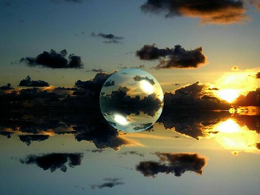 Bubble by David Debray