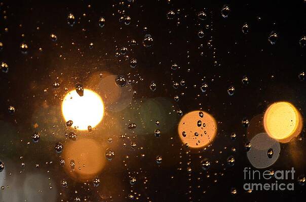 Bubble Rain Window by David Felipe Pulido