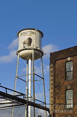 Buffalo Trace - D008739a by Daniel Dempster Buffalo Trace - D008739a by Daniel Dempster