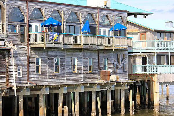 Building on Piles Above Water by Lorna Maza Building on Piles Above Water by Lorna Maza