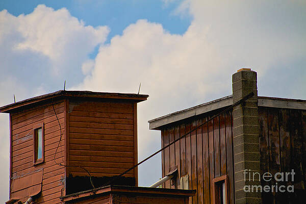 Architecture Wall Art featuring the photograph Building Skyline by William Norton