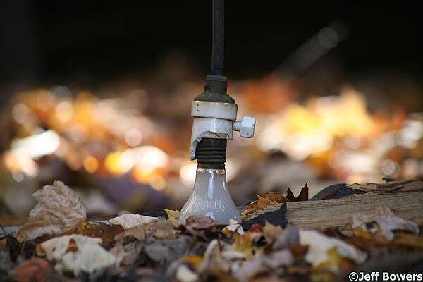 Bulb by Jeff Bowers