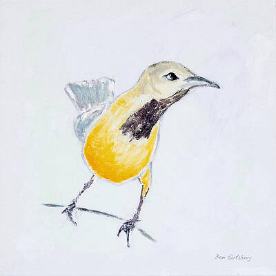 Bullock's Oriole No 1 by Ben Gertsberg Bullock's Oriole No 1 by Ben Gertsberg