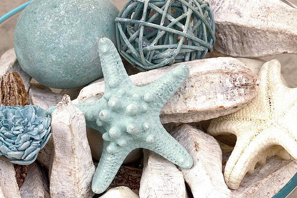 Wall Art - Digital Art - Bundle Of Shells I by Sundance B