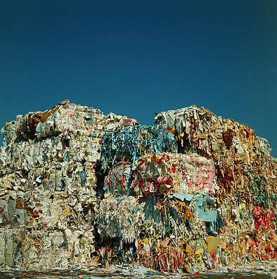 Wall Art - Photograph - Bundles Of Shredded Waste Paper by Science Photo Library