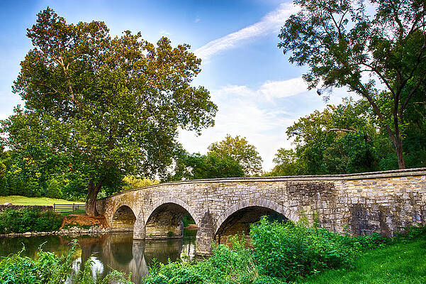 Burnside's Bridge by John Daly Burnside's Bridge by John Daly
