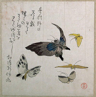 Butterflies Print by Kubo Shunman