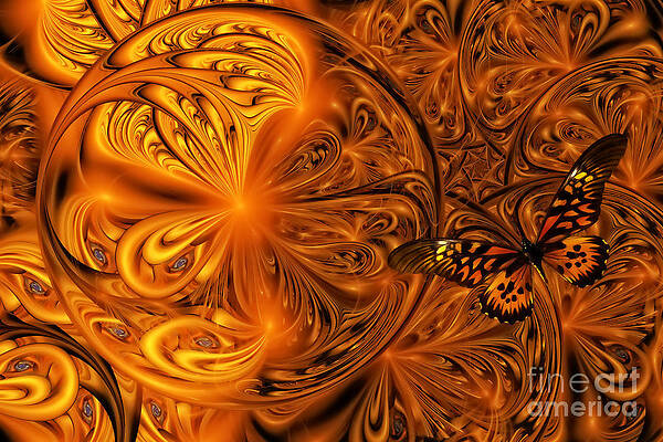 Colorful Butterfly Art Mixed Media by Olga Hamilton - Fine Art America
