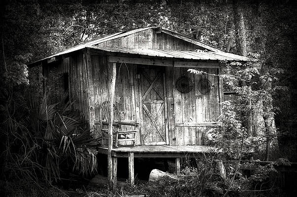 Cabins of Southern Louisiana by Photography By Sai Cabins of Southern Louisiana by Photography By Sai