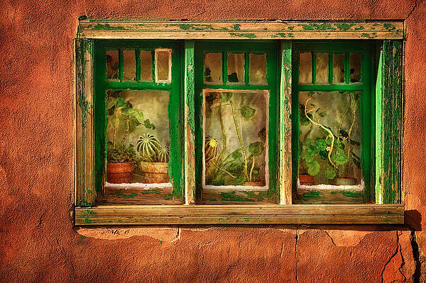 Cactus Window by Keith Berr Cactus Window by Keith Berr