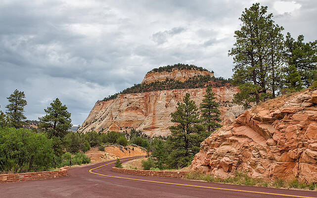 Cake Formation at Zion by John M Bailey Cake Formation at Zion by John M Bailey