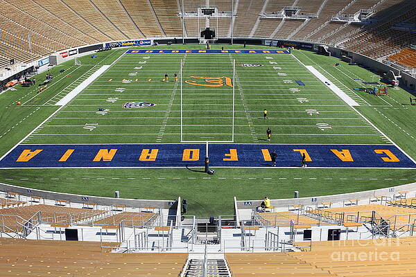 Cal Golden Bears California Memorial Stadium Berkeley California 5D24684 by Wingsdomain Art and Photography Cal Golden Bears California Memorial Stadium Berkeley California 5D24684 by Wingsdomain Art and Photography