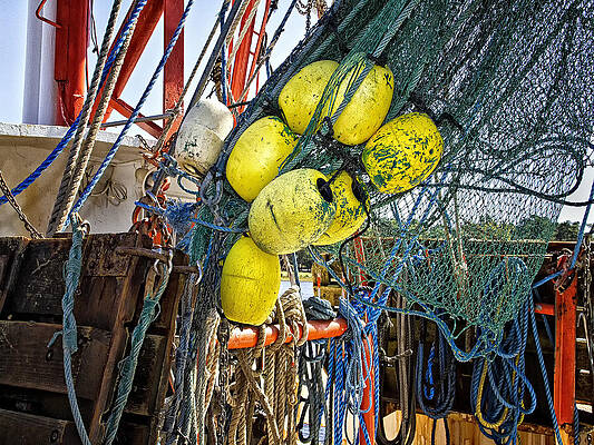 Calabash Shrimp Nets by Sandra Anderson Calabash Shrimp Nets by Sandra Anderson