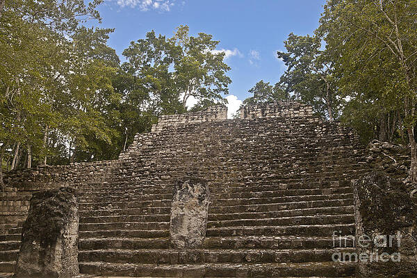 Wall Art - Photograph - Calakmul Ruins by Ellen Thane