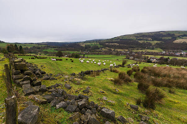 Calder Valley by David Isaacson Calder Valley by David Isaacson