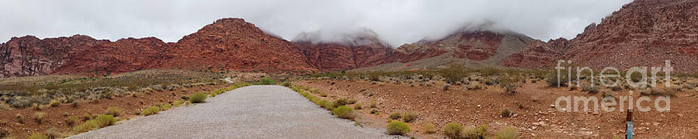 Calico Junction 2 by Balanced Art Calico Junction 2 by Balanced Art