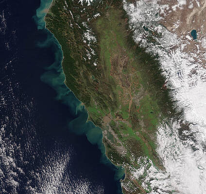 Wall Art - Photograph - California After Rain by Science Source
