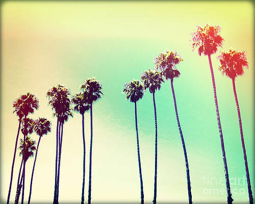 California Palms III by Chris Andruskiewicz California Palms III by Chris Andruskiewicz