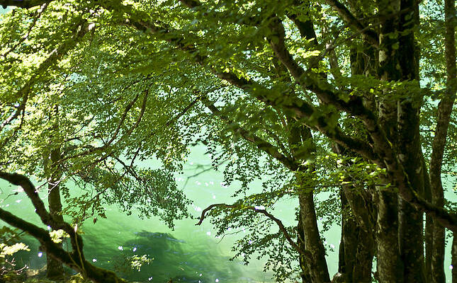 Natural Wall Art featuring the photograph Calm Serenity by Georgia Clare