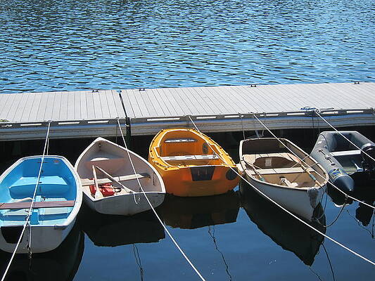 Camden Maine by Melissa Partridge