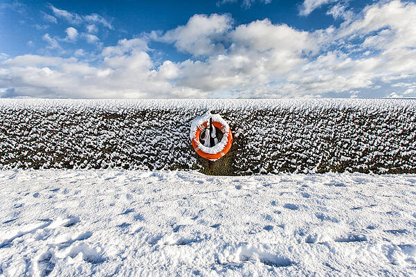 Wall Art - Photograph - Can you drown in snow? by Nigel R Bell