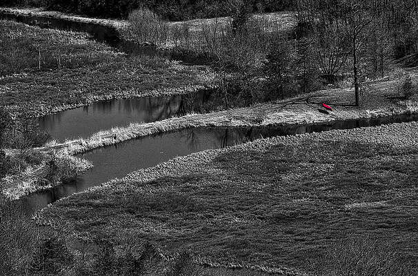 Wall Art - Photograph - Canoe by Creek II by Steven Ralser