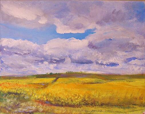 Canola and Clouds by Helen Campbell Canola and Clouds by Helen Campbell