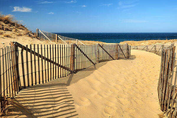 Wall Art - Photograph - Cape Cod Beach by Mitchell R Grosky
