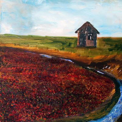 Cape Cod Cranberry Bog by Michael Helfen Cape Cod Cranberry Bog by Michael Helfen
