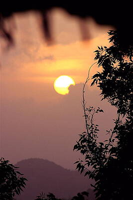 Caribbean Summer Solstice by Alice Terrill Caribbean Summer Solstice by Alice Terrill