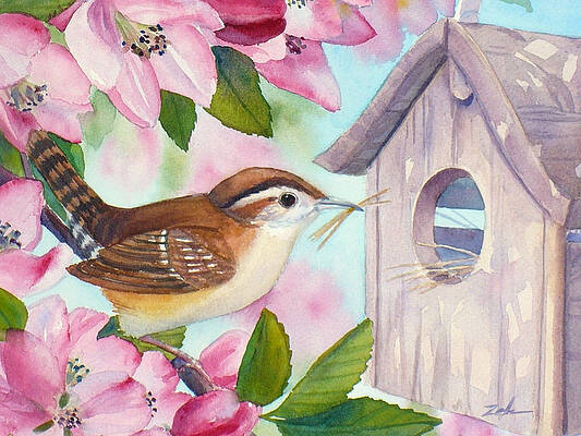 Wall Art - Painting - Carolina Wren in Springtime by Janet Zeh