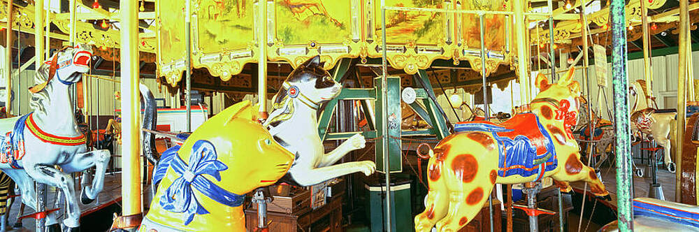 Wall Art - Photograph - Carousel In A Zoo, San Diego Zoo by Panoramic Images