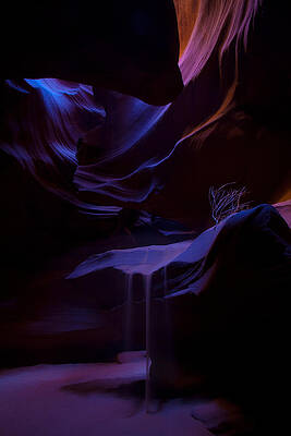 Cascade by Michael Robert Hartman